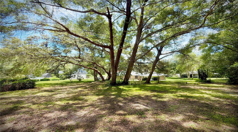 Mount Dora, Florida 32757, 3 Bedroom Bedrooms, ,2 Bathroombathrooms,Residential,For Sale,Edmund,0,Mfro6393908