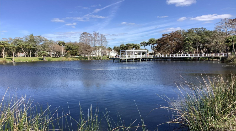 New Port Richey Park