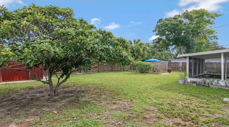Tampa, Florida 33615, 3 Bedroom Bedrooms, ,1 Bathroombathrooms,Residential,For Sale,Powhatan,0,Mfrtb8541312