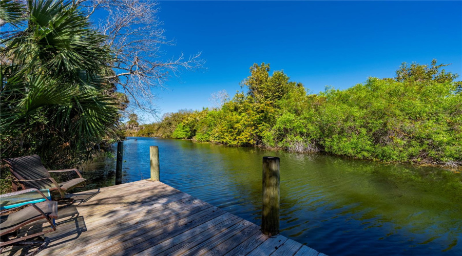 Serene Alligator Creek