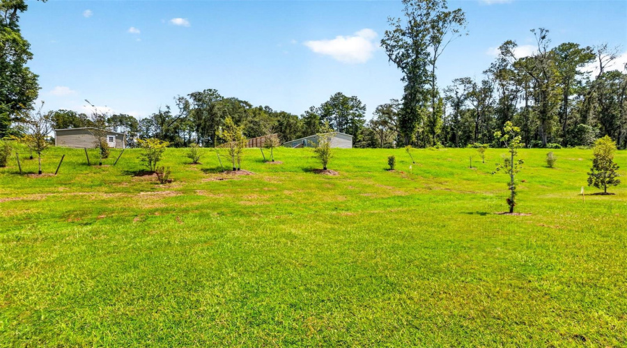 Alachua, Florida 32615, 5 Bedroom Bedrooms, ,3 Bathroombathrooms,Residential,For Sale,144Th,0,Mfrgc542972