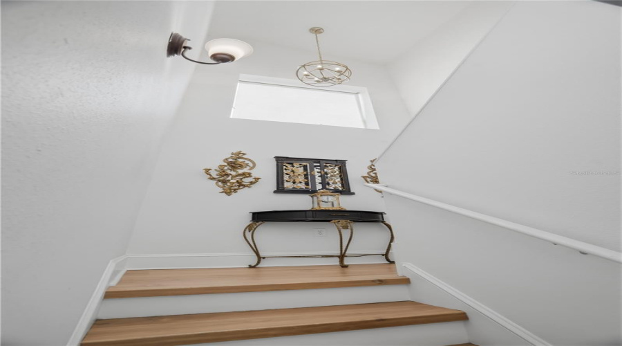 Tampa, Florida 33629, 3 Bedroom Bedrooms, ,2 Bathroombathrooms,Residential,For Sale,Euclid,0,Mfrtb8517990