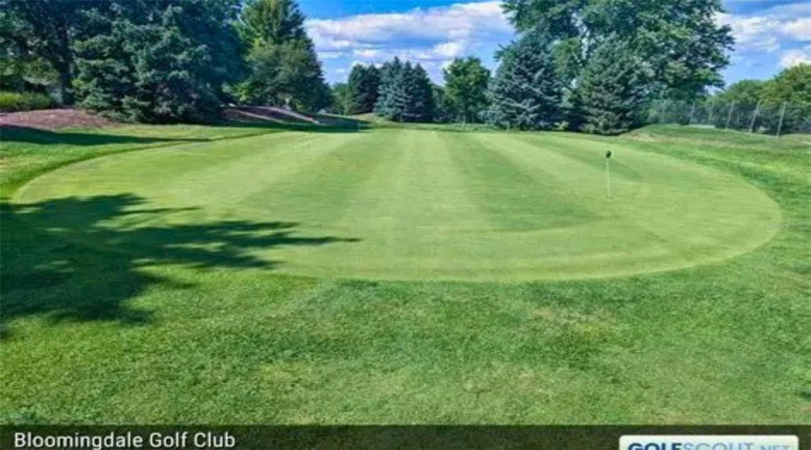 Bloomingdale Golf Located In The Community