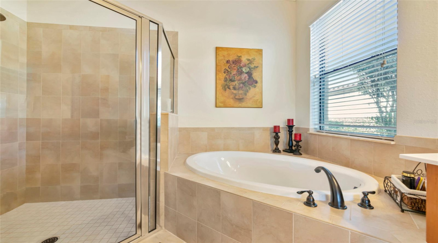 Primary Bath