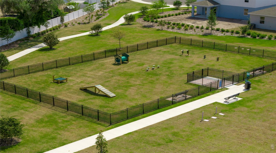 Community Dog Park