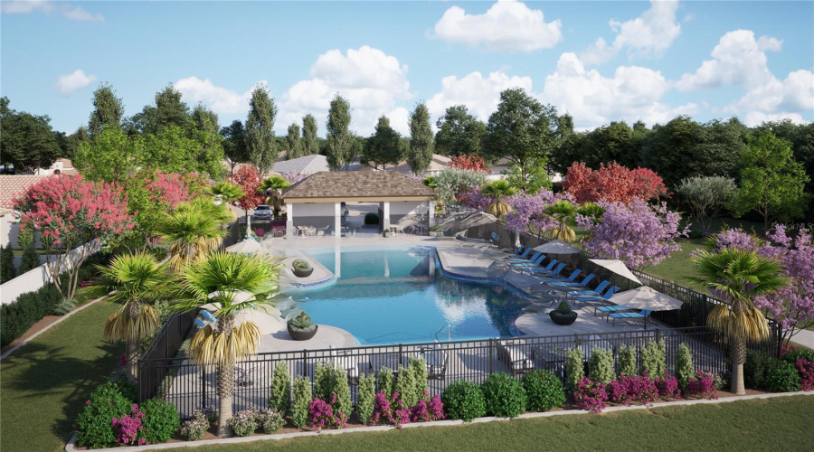 Community Pool Rendering