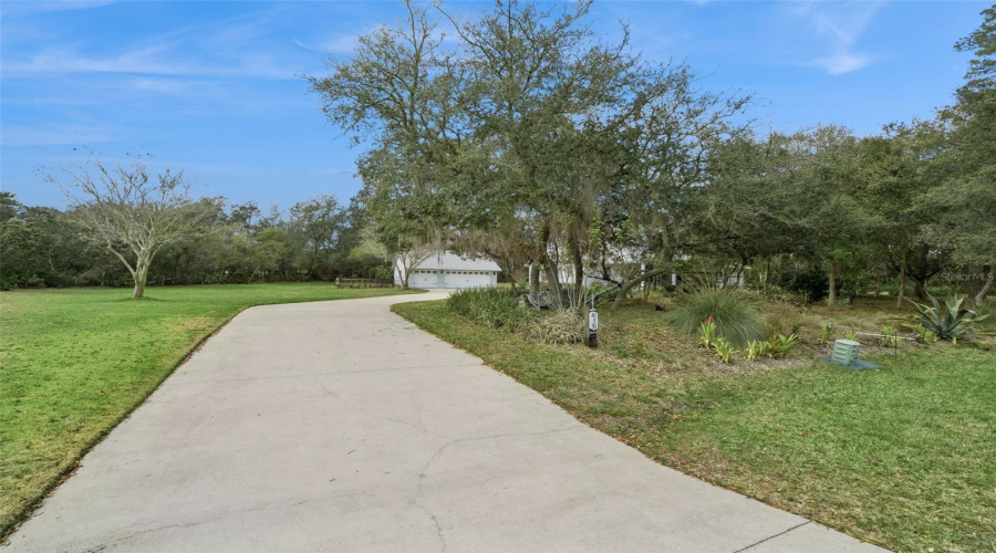 Eustis, Florida 32736, 3 Bedroom Bedrooms, ,2 Bathroombathrooms,Residential,For Sale,Dahlia,0,Mfro6386421