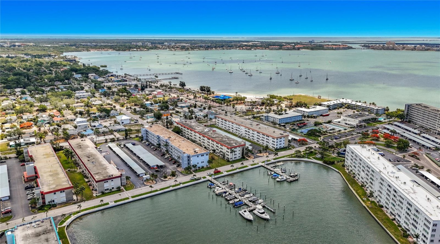 Boca Ciega Bay!
