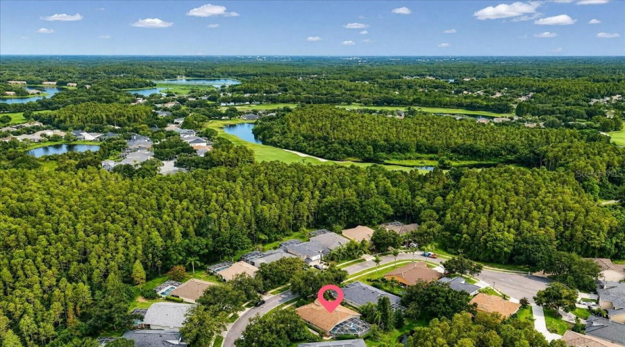 Lutz, Florida 33558, 4 Bedroom Bedrooms, ,3 Bathroombathrooms,Residential,For Sale,Avenue Du Soleil,0,Mfrtb8535132