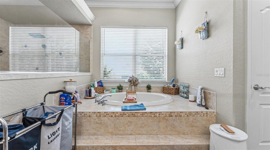 Lakeland, Florida 33812, 4 Bedroom Bedrooms, ,3 Bathroombathrooms,Residential,For Sale,Verandah Vue,0,Mfrl4964509