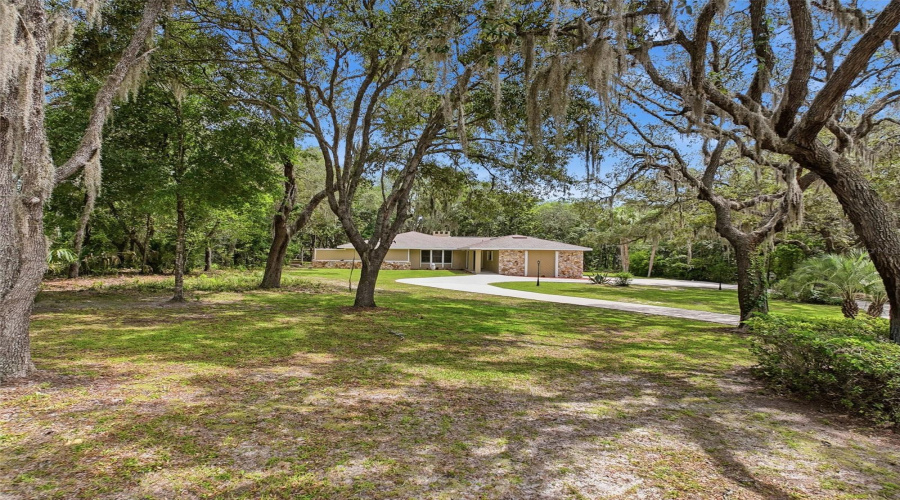 Front Yard From Street