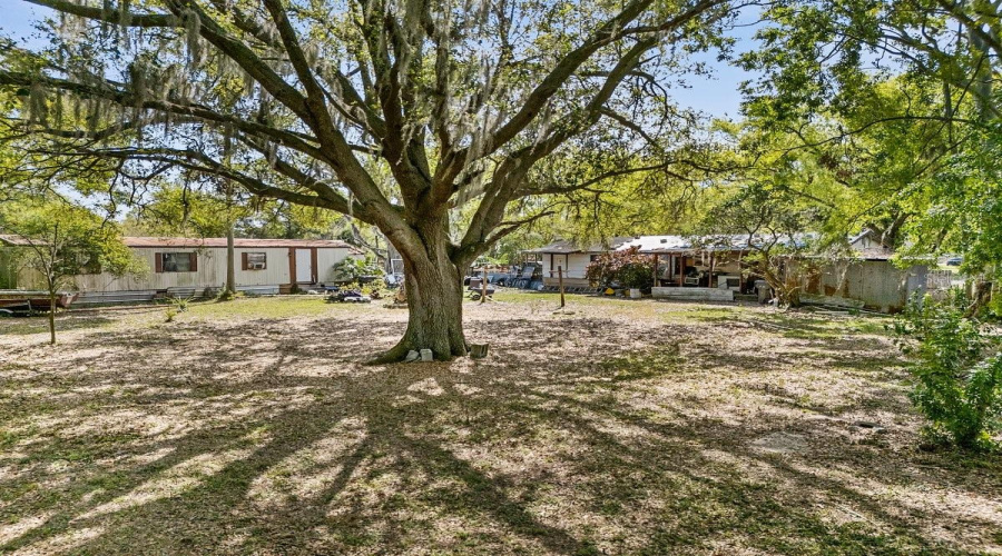 Winter Haven, Florida 33880, 3 Bedroom Bedrooms, ,2 Bathroombathrooms,Residential,For Sale,10Th Wahneta,0,Mfrp4934066
