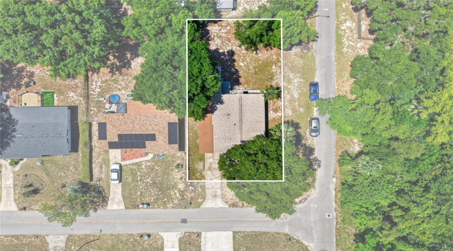 Property Line Next To Dense Woods