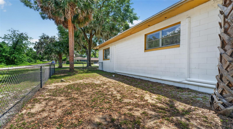 Side Yard