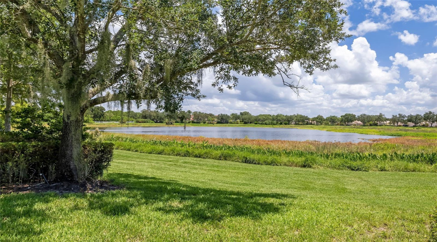 Sarasota, Florida 34238, 3 Bedroom Bedrooms, ,2 Bathroombathrooms,Residential,For Sale,Andora,0,Mfra4702662