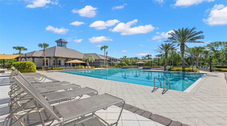 Pool On Lake Galt