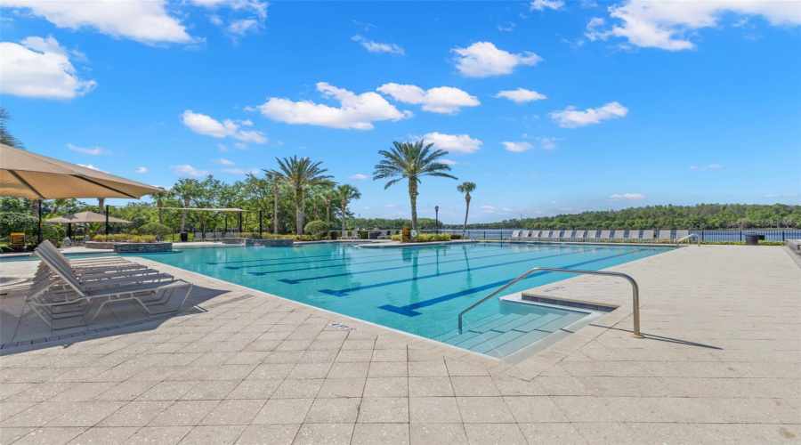 Pool On Lake Galt