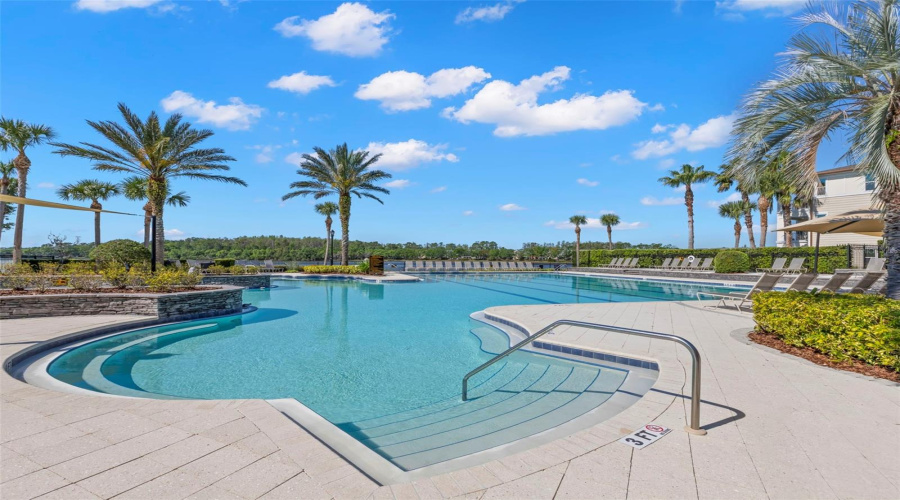 Resort Style Pool