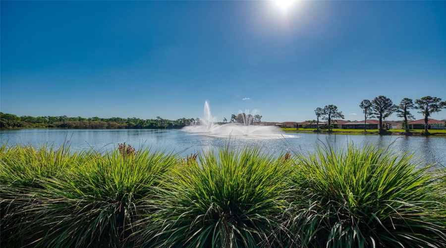 Venice, Florida 34292, 3 Bedroom Bedrooms, ,2 Bathroombathrooms,Residential,For Sale,Blackfin,0,Mfra4687737