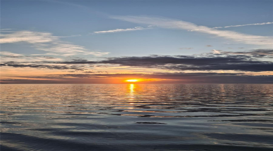 Tarpon Springs, Florida 34689, 2 Bedroom Bedrooms, ,2 Bathroombathrooms,Residential,For Sale,Seascape,0,Mfrtb8526235