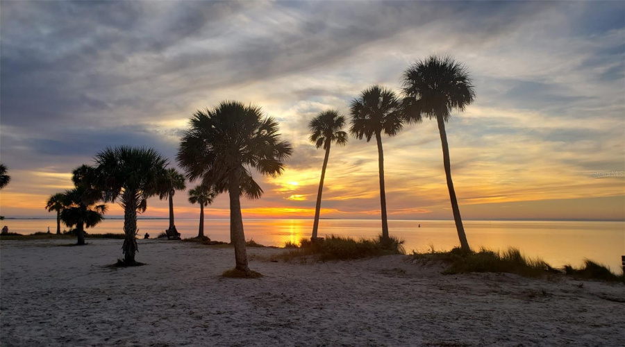 Tarpon Springs, Florida 34689, 2 Bedroom Bedrooms, ,2 Bathroombathrooms,Residential,For Sale,Seascape,0,Mfrtb8526235