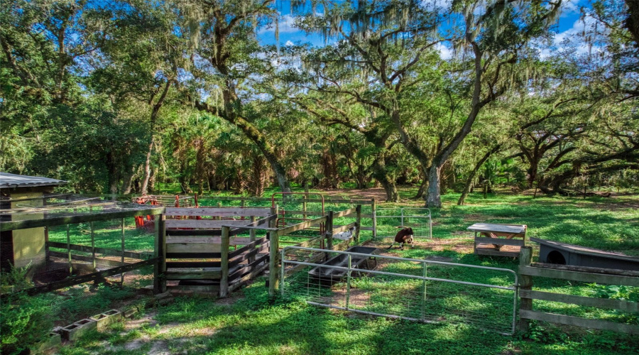 Zolfo Springs, Florida 33890, 3 Bedroom Bedrooms, ,2 Bathroombathrooms,Residential,For Sale,Friendship,0,Mfrp4939600