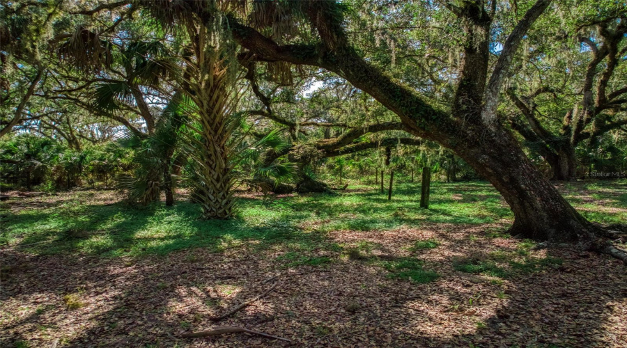 Zolfo Springs, Florida 33890, 3 Bedroom Bedrooms, ,2 Bathroombathrooms,Residential,For Sale,Friendship,0,Mfrp4939600