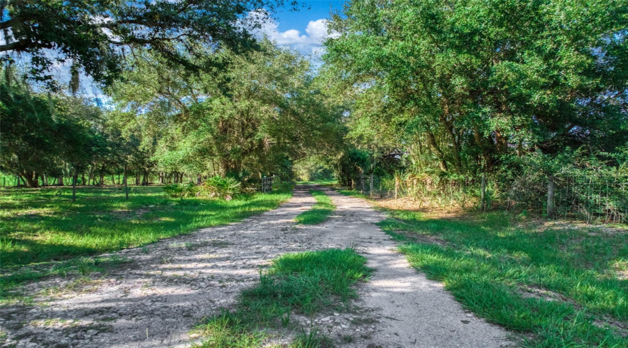 Zolfo Springs, Florida 33890, 3 Bedroom Bedrooms, ,2 Bathroombathrooms,Residential,For Sale,Friendship,0,Mfrp4939600