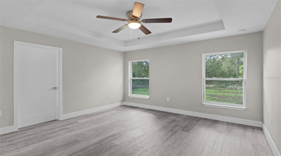 Primary Bedroom With Tray Ceiling And Ceiling Fan, With Walk-In Closet Door On The Left. The Windows Are Looking Into The Back Yard.