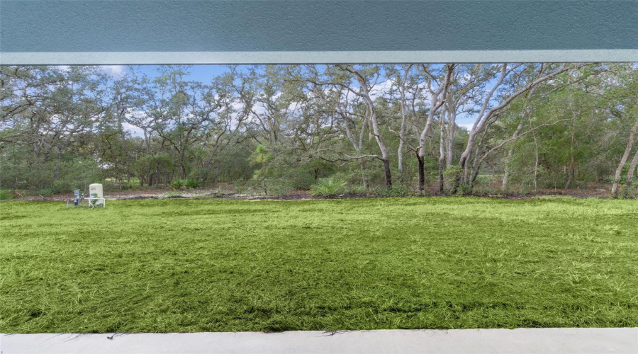 Ocklawaha, Florida 32179, 3 Bedroom Bedrooms, ,2 Bathroombathrooms,Residential,For Sale,Fisher Terrace,0,Mfrg5103082