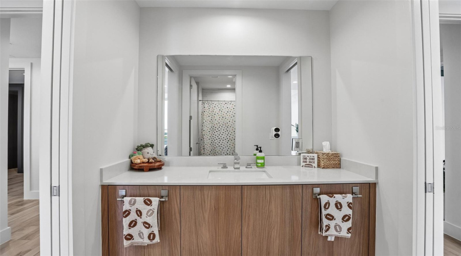 Jack And Jill Ensuite Bath