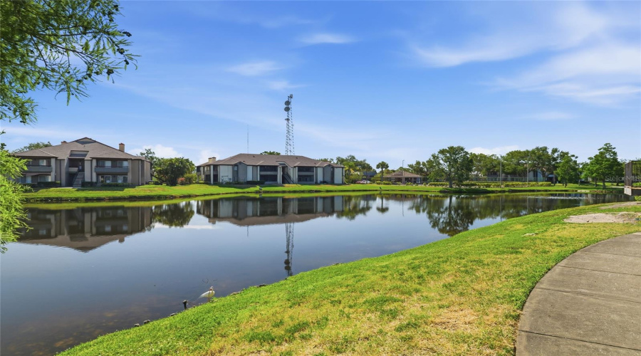 St Petersburg, Florida 33702, 1 Bedroom Bedrooms, ,1 Bathroombathrooms,Residential,For Sale,Gandy,0,Mfrtb8503486