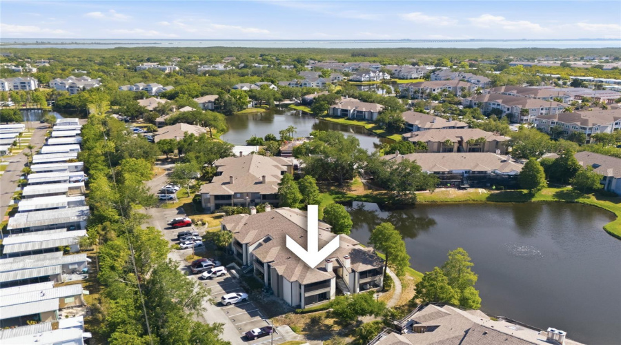St Petersburg, Florida 33702, 1 Bedroom Bedrooms, ,1 Bathroombathrooms,Residential,For Sale,Gandy,0,Mfrtb8503486