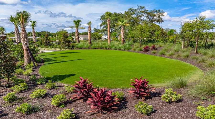 Palm Wind Community