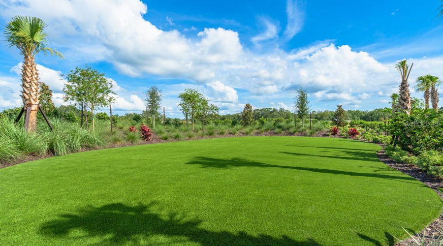 Palm Wind Community