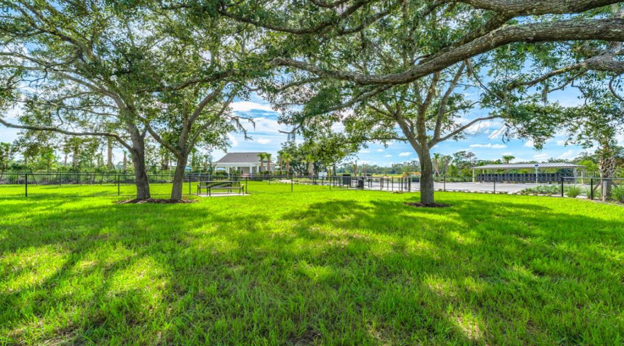 Palm Wind Community