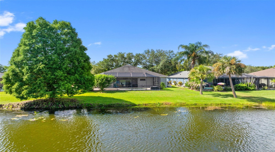 Riverview, Florida 33579, 4 Bedroom Bedrooms, ,2 Bathroombathrooms,Residential,For Sale,Summer Springs,0,Mfrtb8539631
