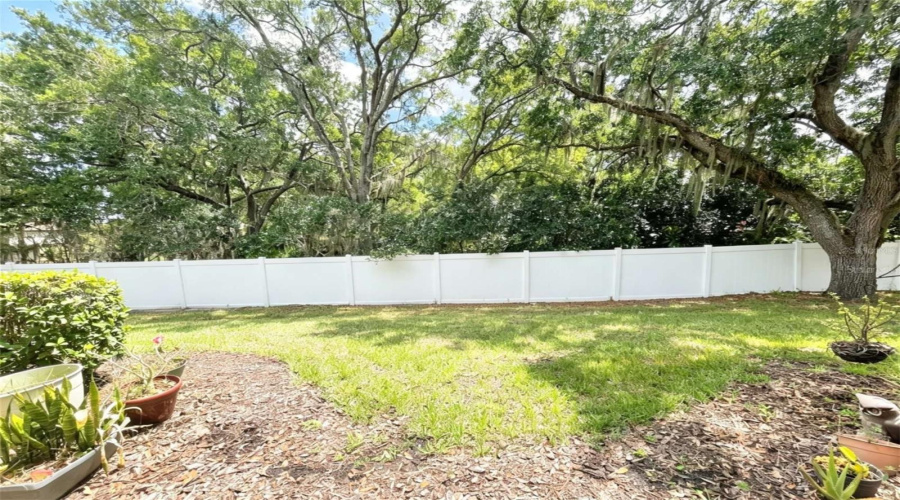 Backyard