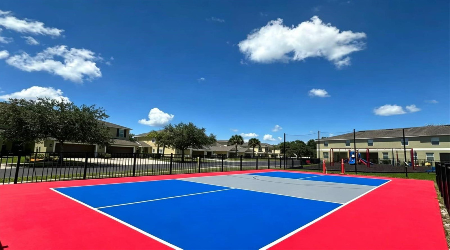 Basketball Court