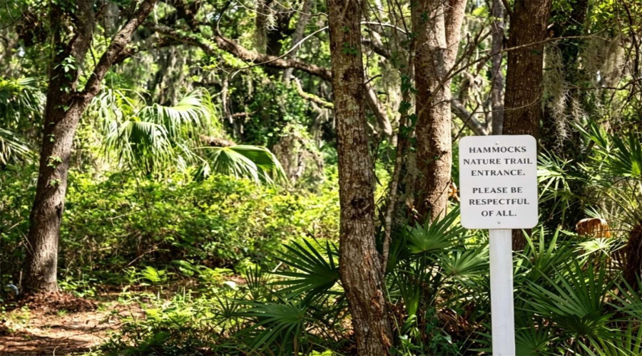 Community Trail