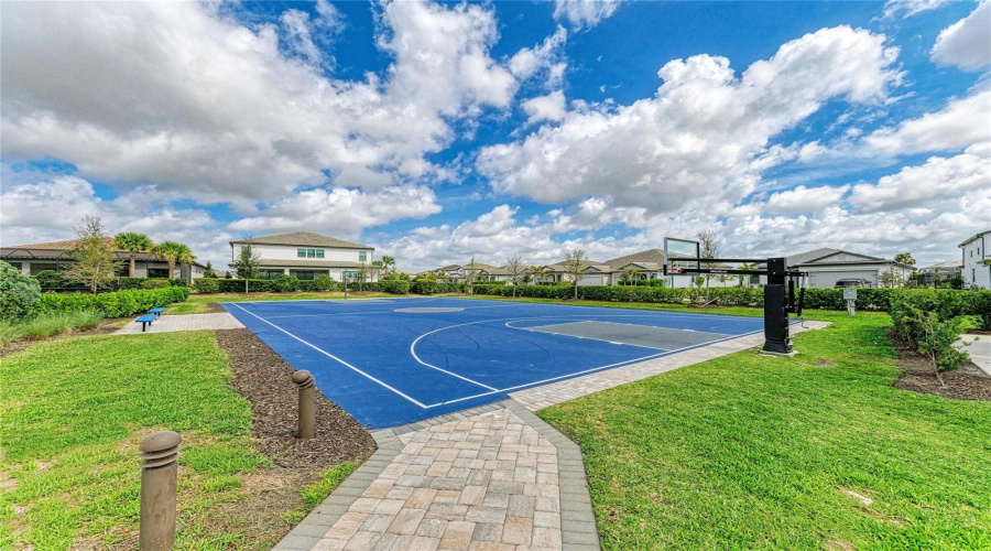 Basketball Court