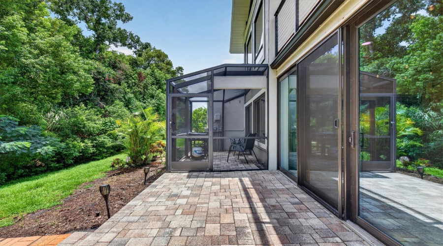 Back Patio &Amp; Yard