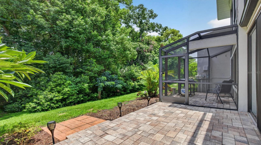 Back Patio &Amp; Yard