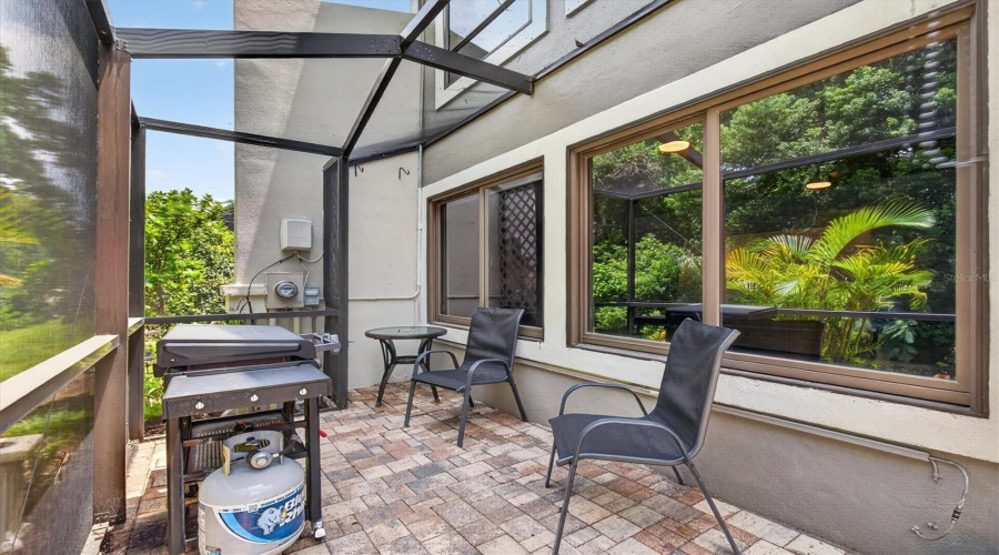 Back Patio
