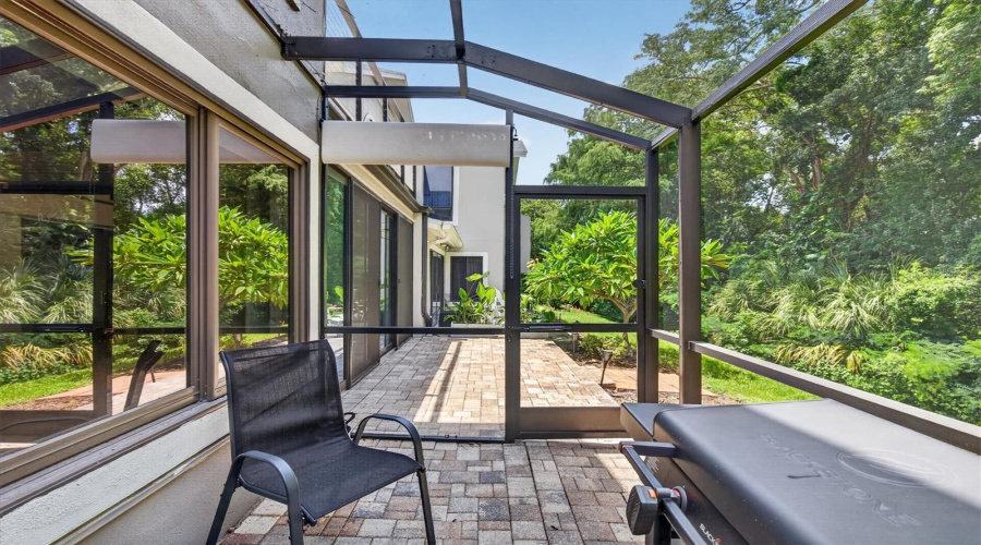 Back Patio