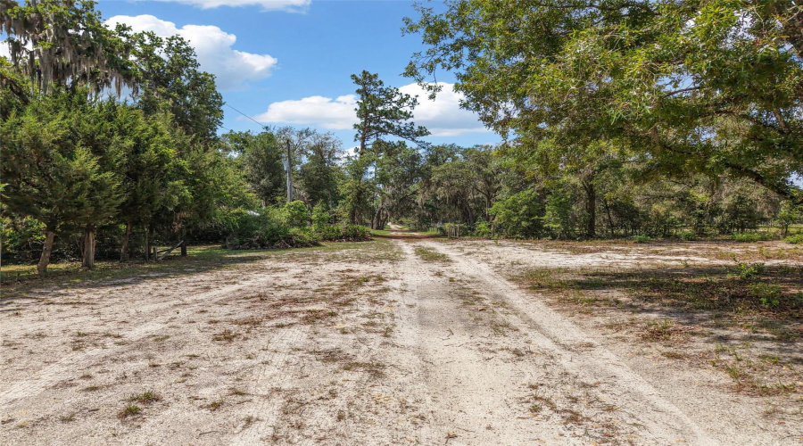 Old Town, Florida 32680, 3 Bedroom Bedrooms, ,2 Bathroombathrooms,Residential,For Sale,791St,0,Mfrgc540547