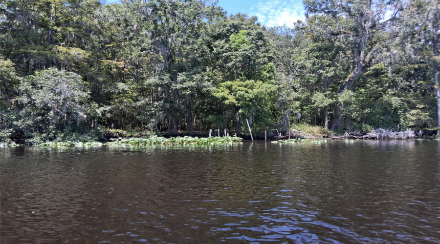 Old Town, Florida 32680, 3 Bedroom Bedrooms, ,2 Bathroombathrooms,Residential,For Sale,791St,0,Mfrgc540547