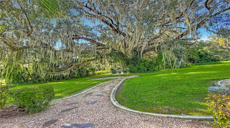 Inverness, Florida 34453, 3 Bedroom Bedrooms, ,2 Bathroombathrooms,Residential,For Sale,Timucuan,0,Mfrs5117720