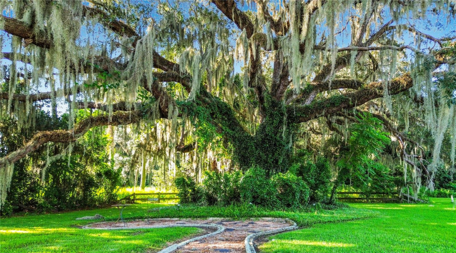 Inverness, Florida 34453, 3 Bedroom Bedrooms, ,2 Bathroombathrooms,Residential,For Sale,Timucuan,0,Mfrs5117720