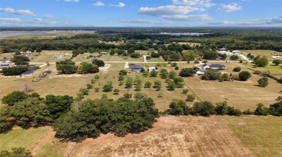 Pecan Orchard